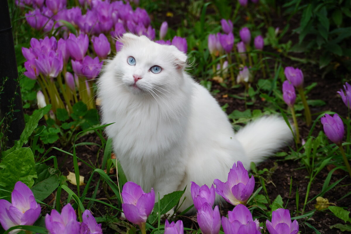 ... - Сергей Ц