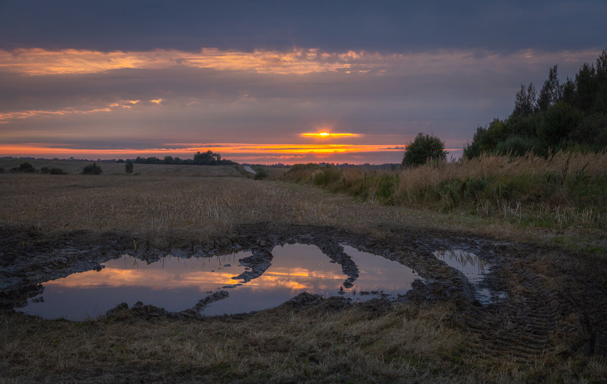 **** - Елизавета .