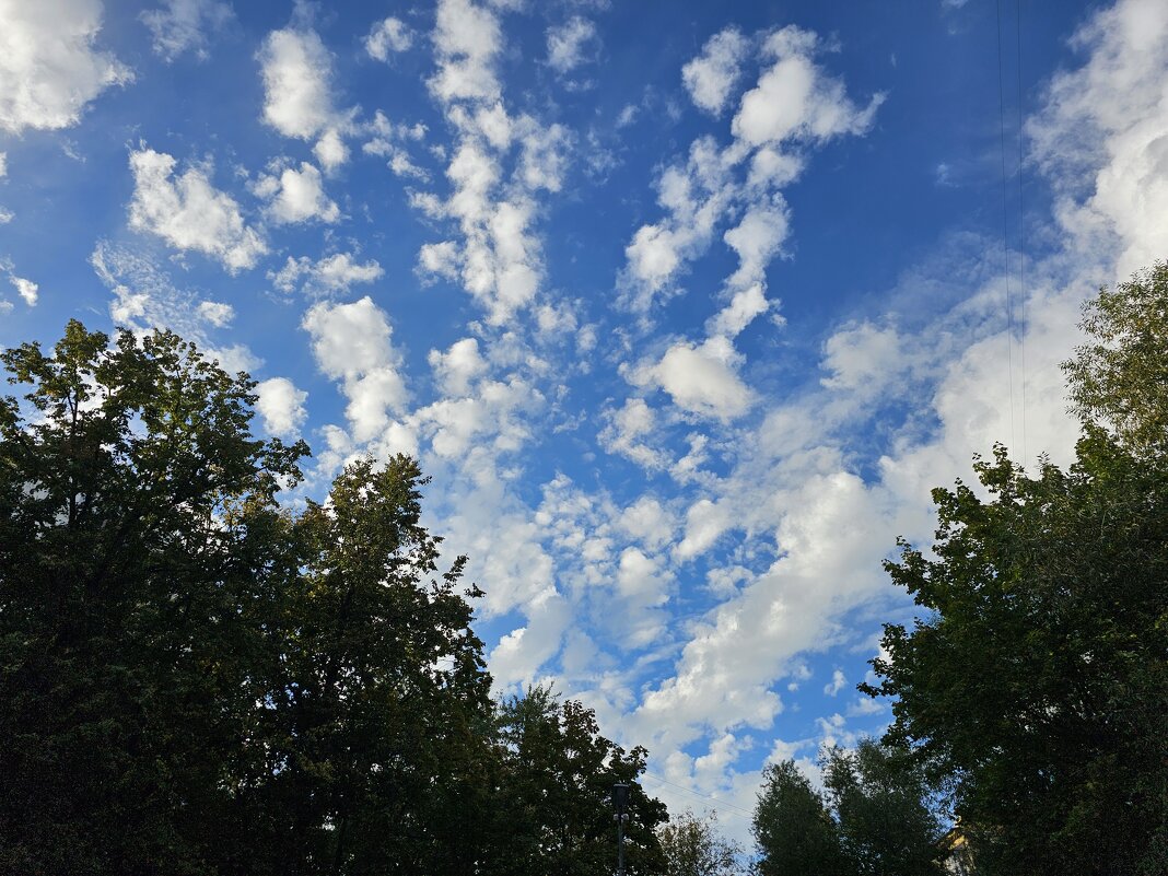 Необычные облока - Мария Яковлева