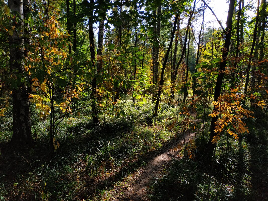 Никак Бабье лето?! - Андрей Лукьянов