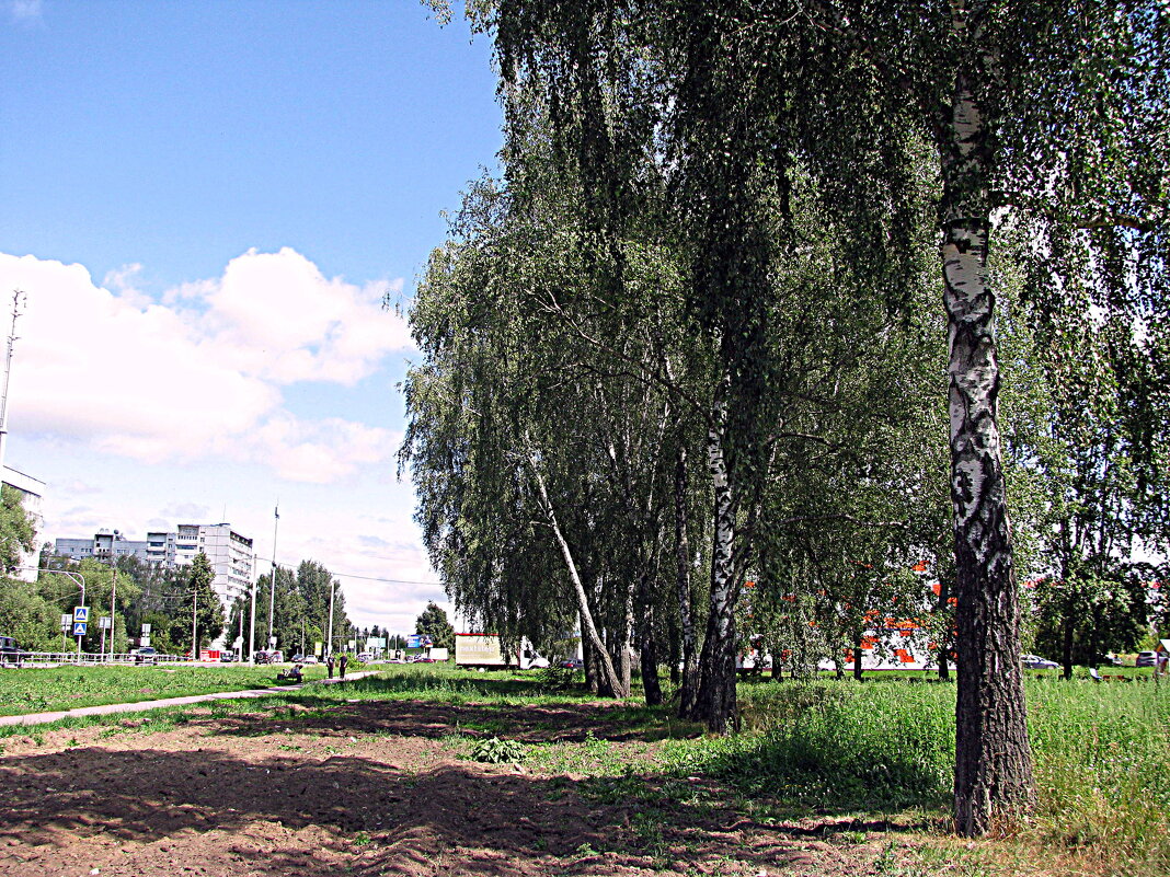 Лето. - Владимир Драгунский