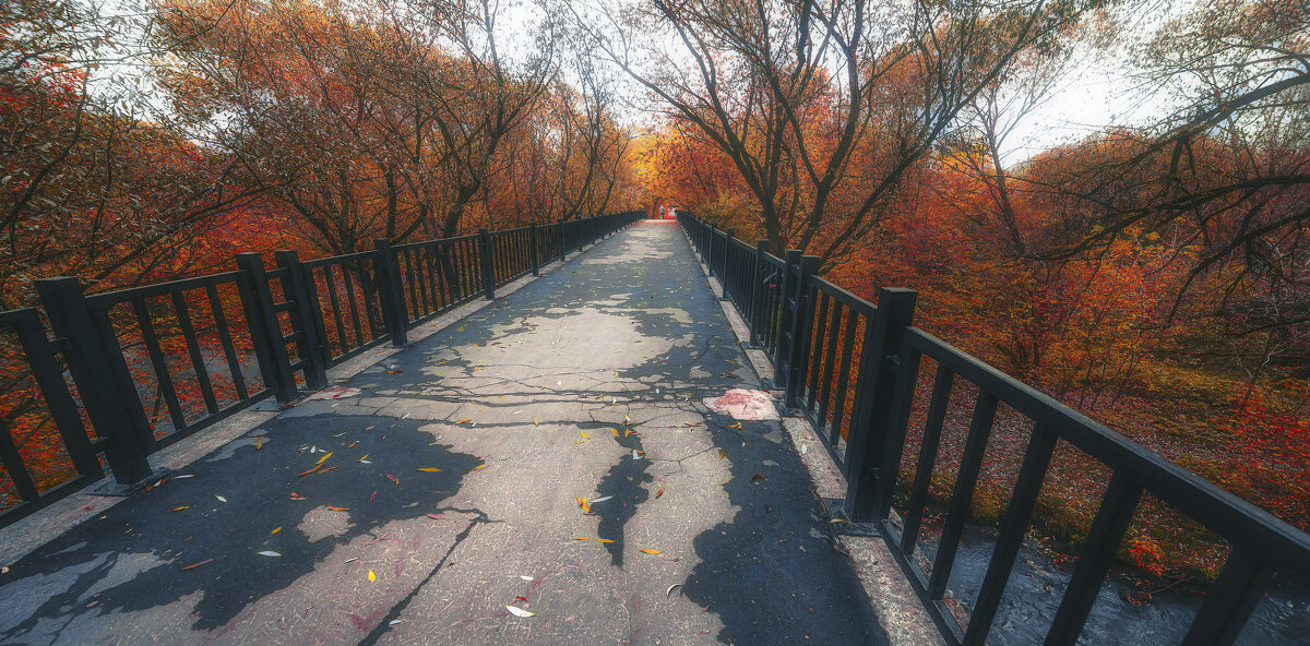 Мост. - Владимир Владимир