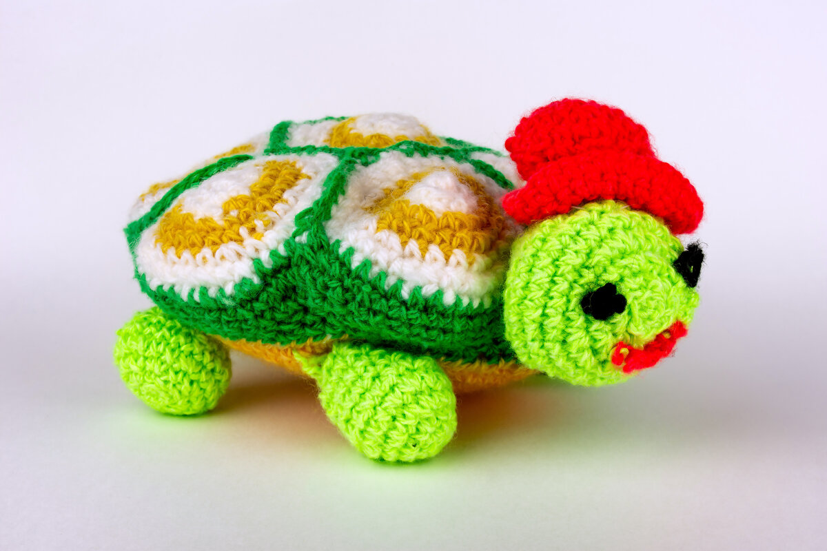 Черепаха - Владимир VS