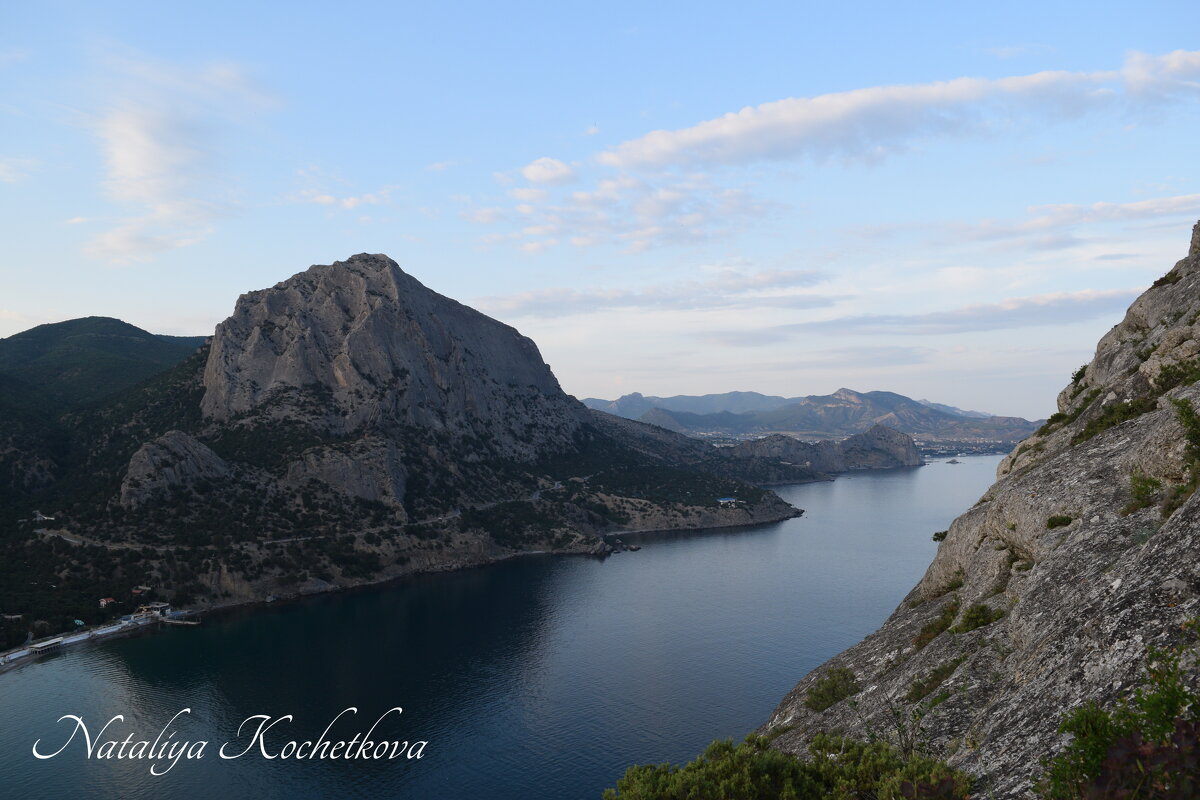 Природа Крыма - Amazing Cosmea