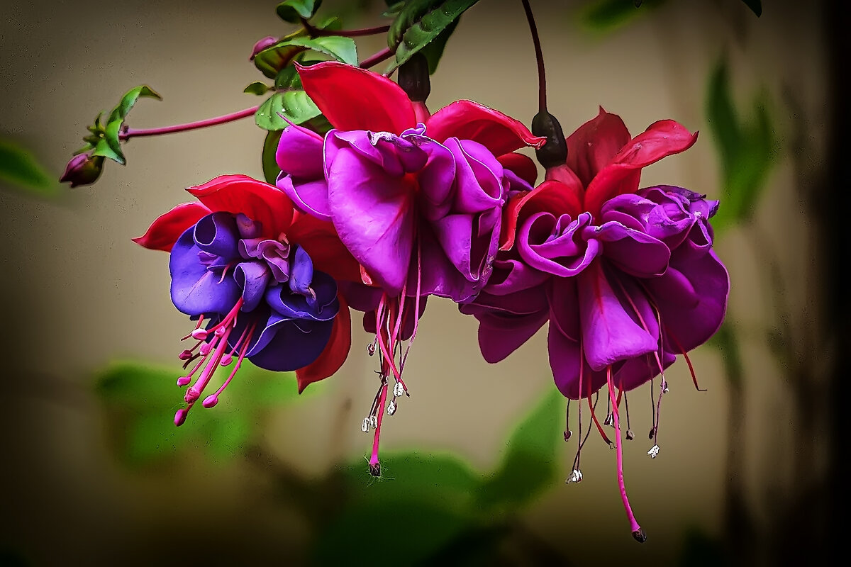 *** - Александр 