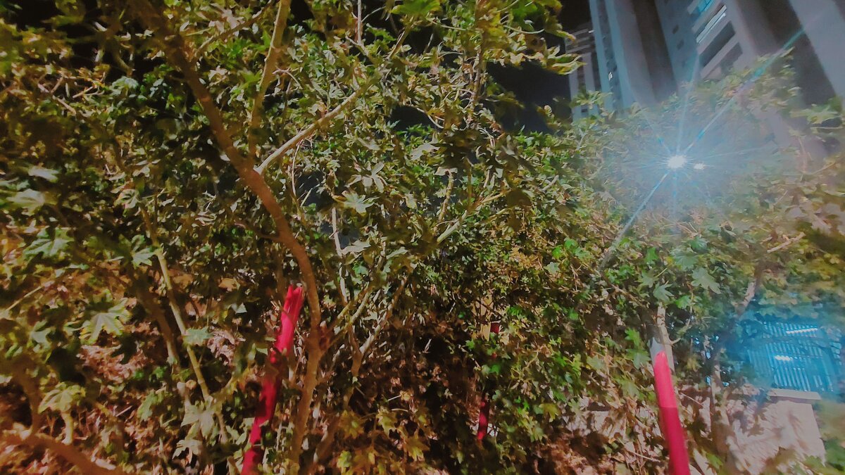 13  ОПЕН (304) - OPEN WAYS ALL