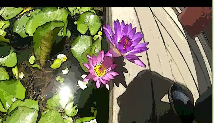 113 (63) - CLOSE WAYS ALL