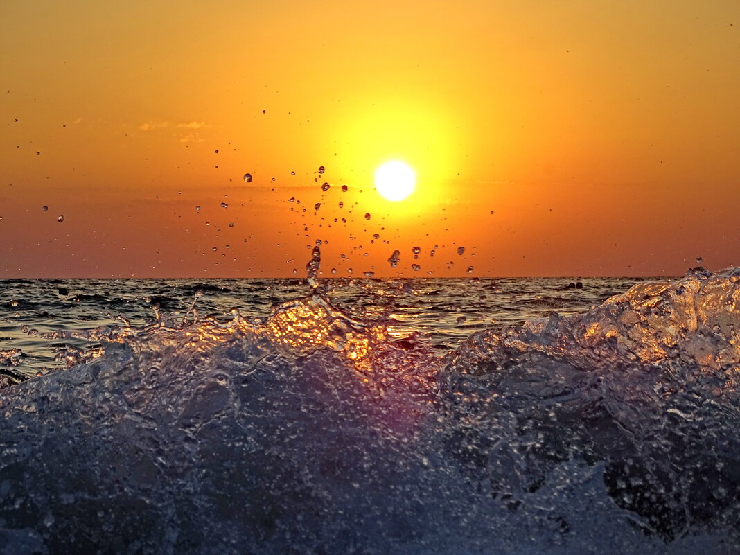 Солнечные брызги - Павел Трунцев Солнечные брызги - Павел Трунцев