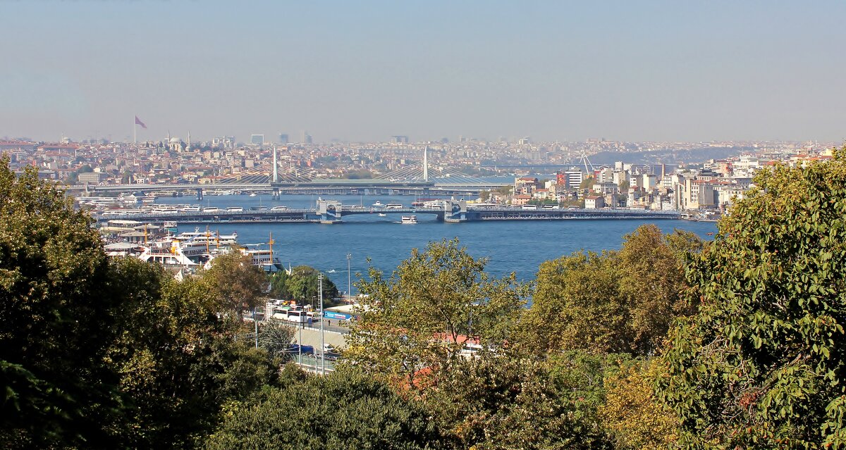 Панорама залива - Владимир Соколов (svladmir)