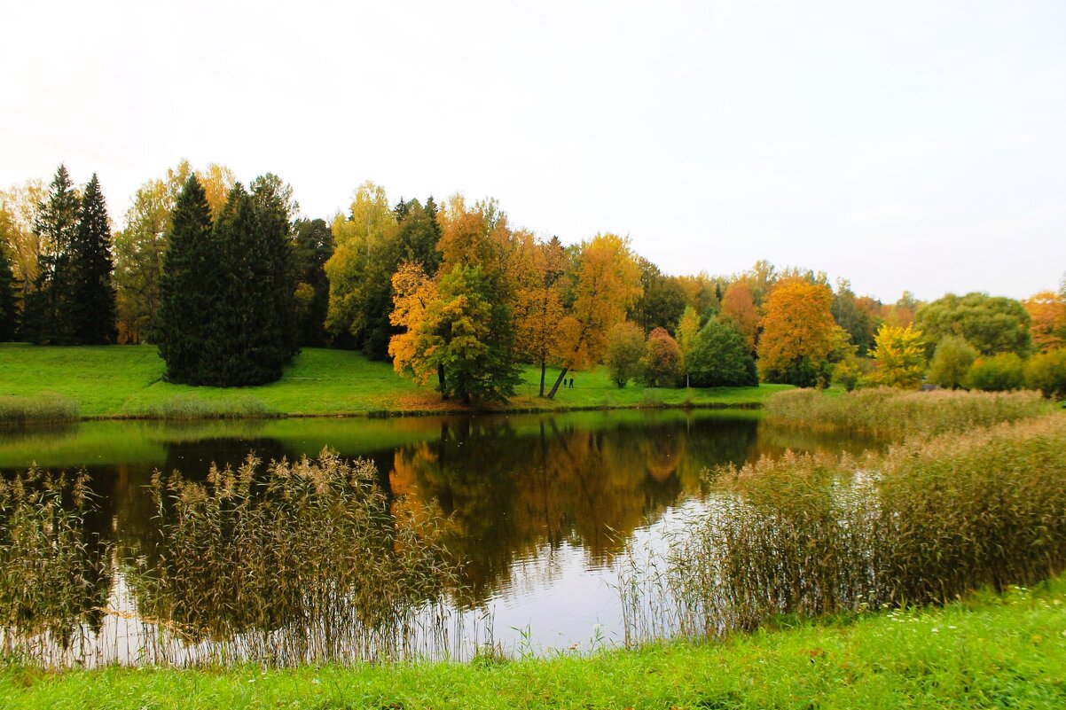 Осень в парке - Хватова Марина 