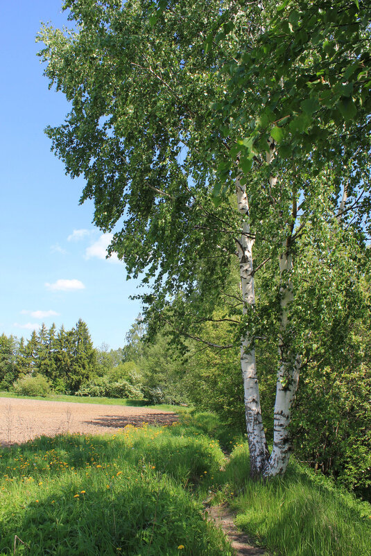 Двое - Наталья Лунева 