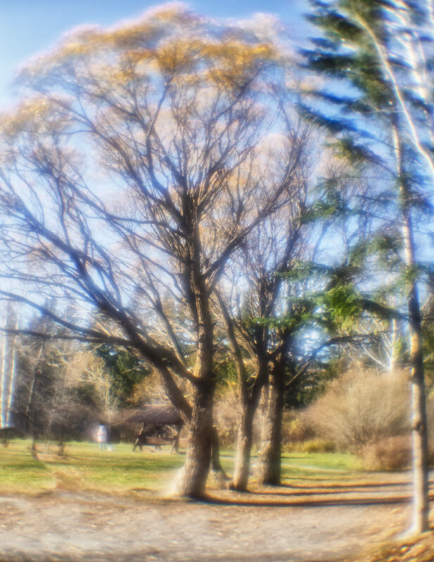 Монокль - SanSan 