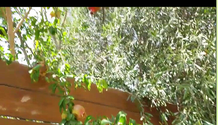 113 (70) - CLOSE WAYS ALL