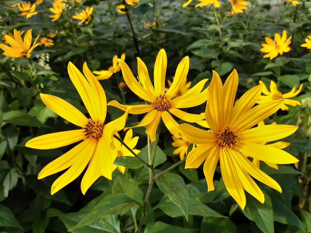 Это было в августе - Галина Минчук