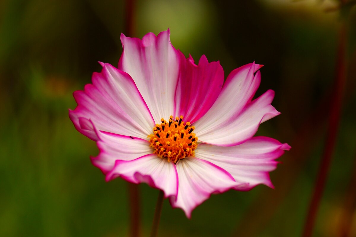 Доброе утро - Юрий. Шмаков
