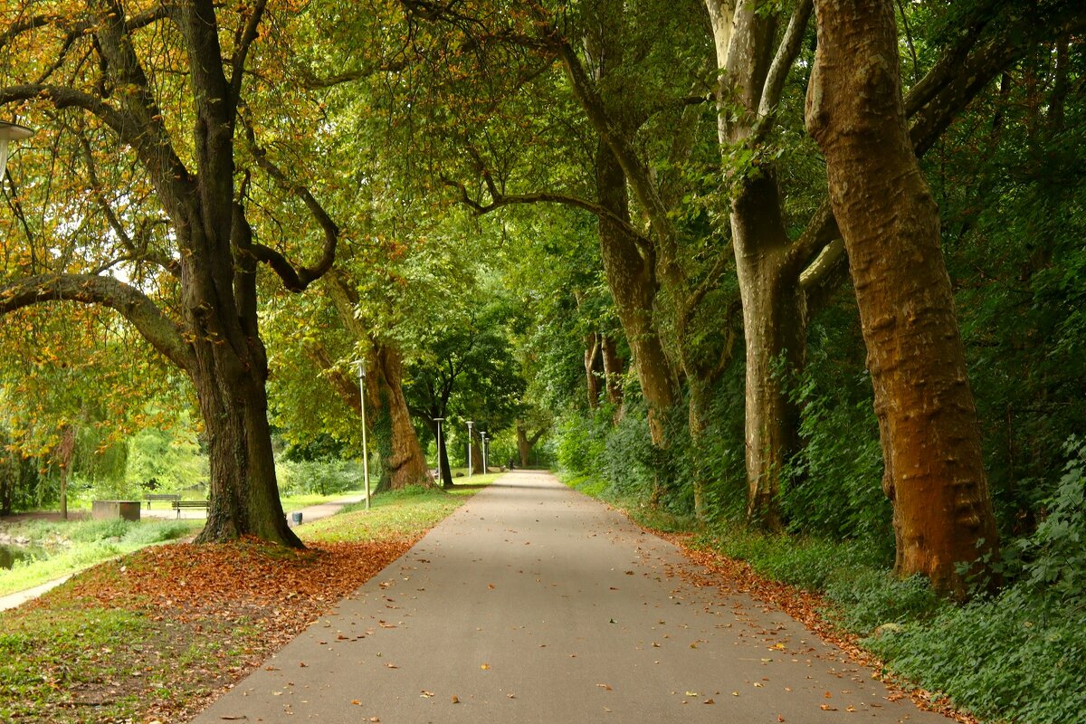 И чуточку осень задела крылом.. - Юрий. Шмаков