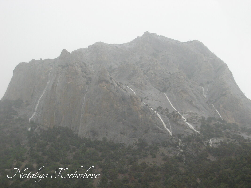Природа Крыма - Amazing Cosmea