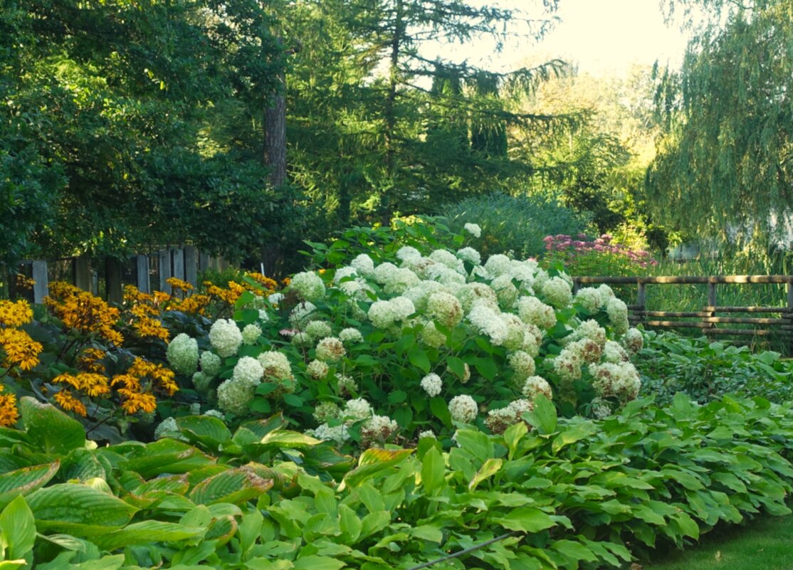 По дорожкам зоопарка в солнечный день сентября 2025 - Aida10 