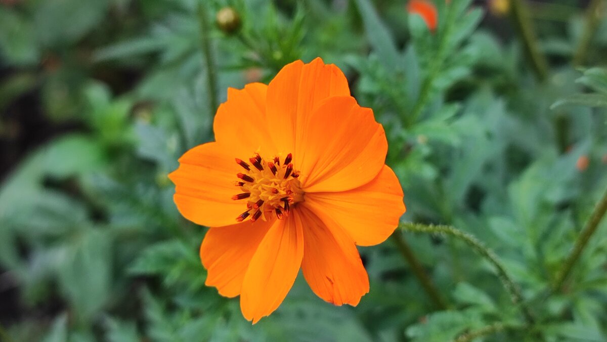 ,,, - Сергей Тимоновский