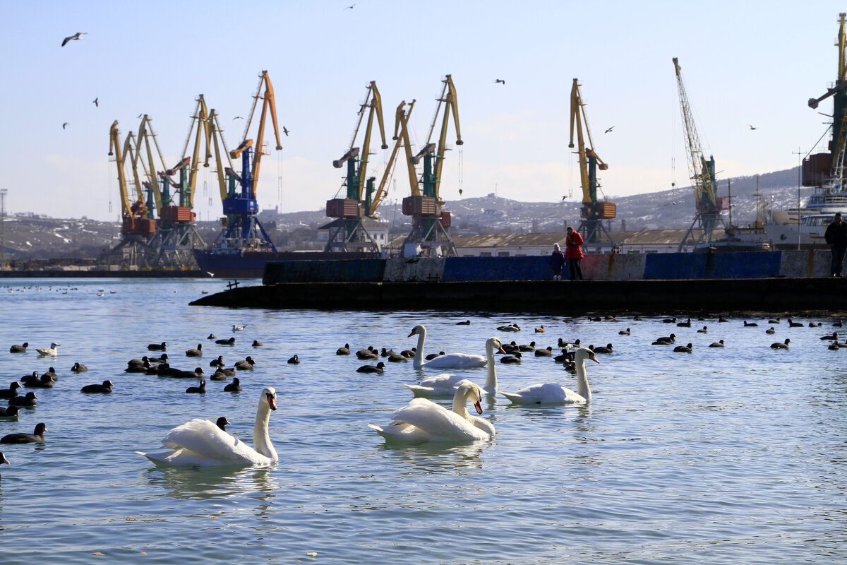 Гуси Лебеди - Геннадий Валеев