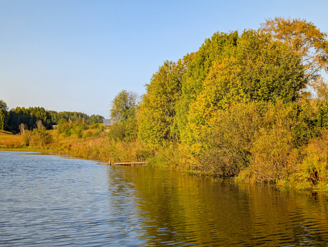 Осень добавляет своих красок - Анастасия Логинова