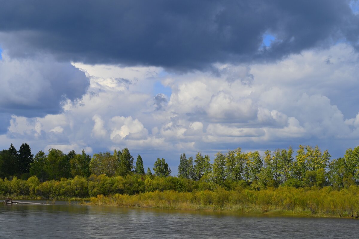 Осенние картинки - Ольга 