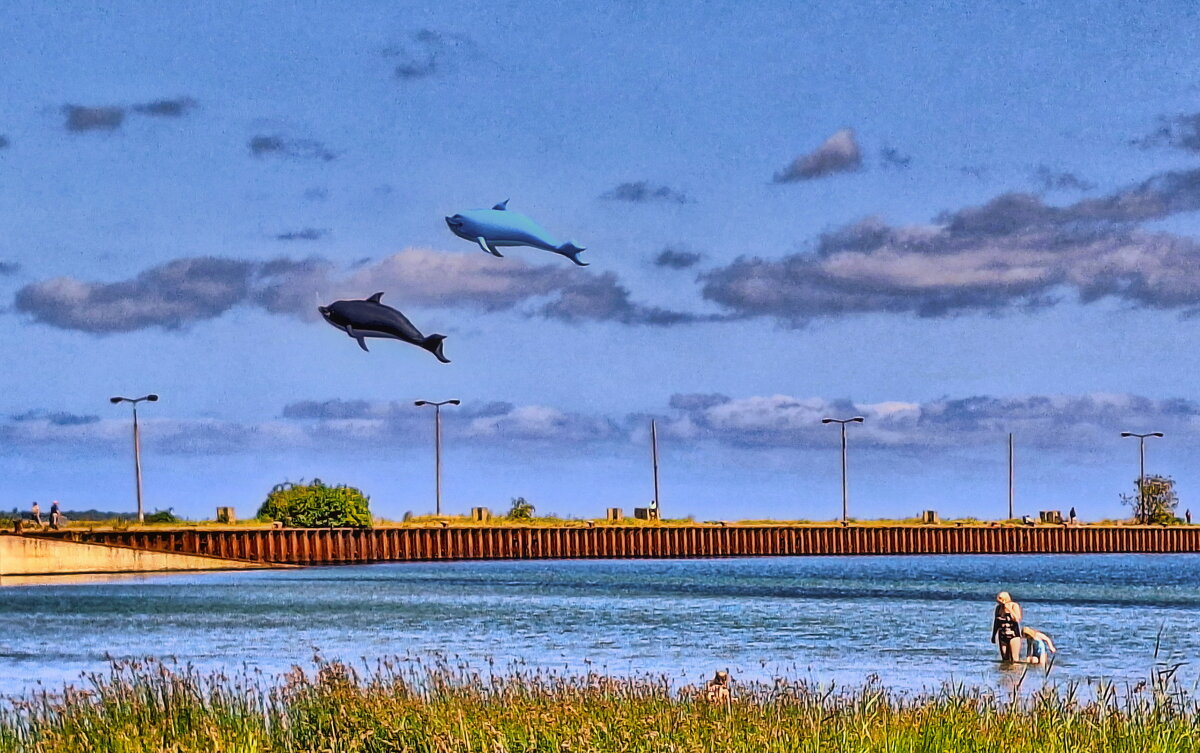 Про летучих дельфинов - Андрей K.