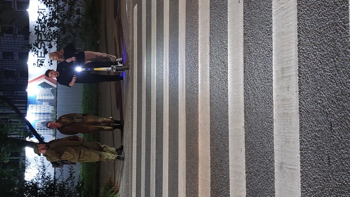 Зебра для русской пары и для мигранской - Максим Егоров