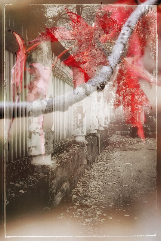 Осенние мотивы - Руслан 