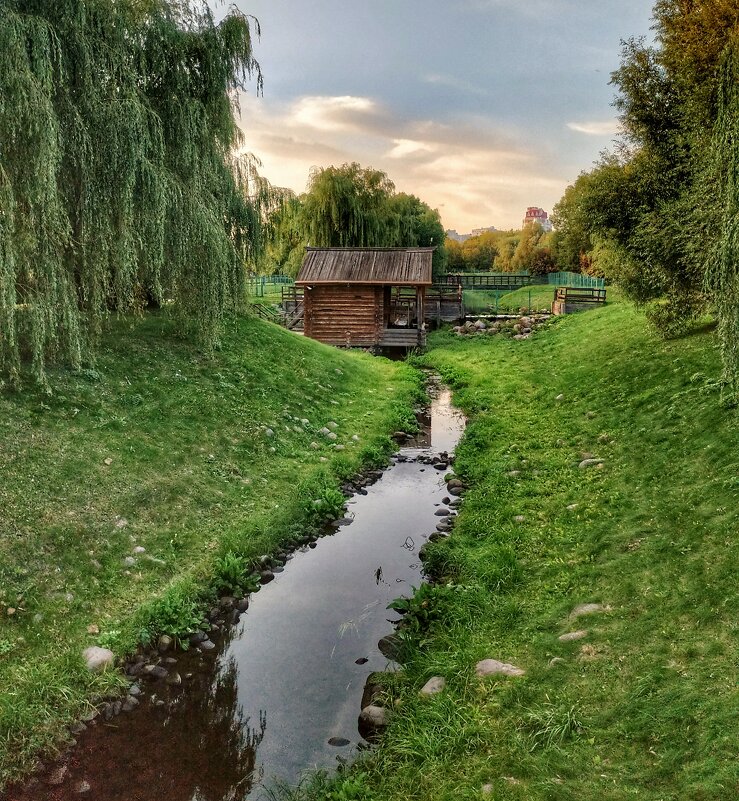 речка Жужа, приток Москвы реки - Валентина. .