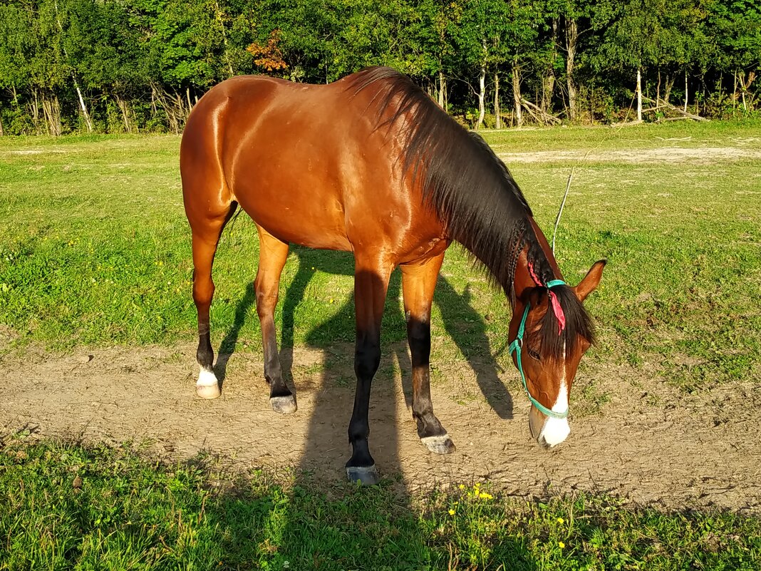 Дети и животные лучше всех НЕ позирует - Андрей Лукьянов