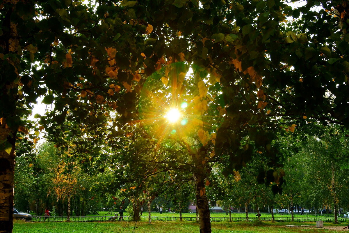 Осеннее Солнышко - Игорь Тельцов