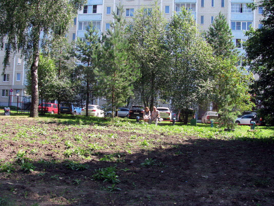 Лето. - Владимир Драгунский