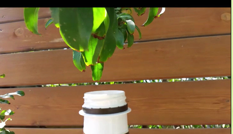 113 (71) - CLOSE WAYS ALL