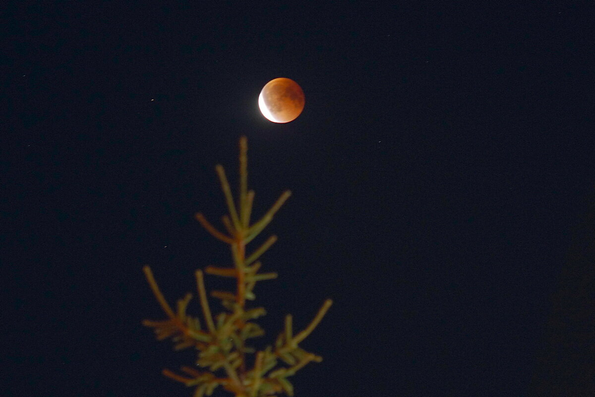 Завершение затмения - Сеня Белгородский