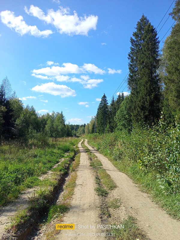 По дороге с облаками. - Павел Михалёв