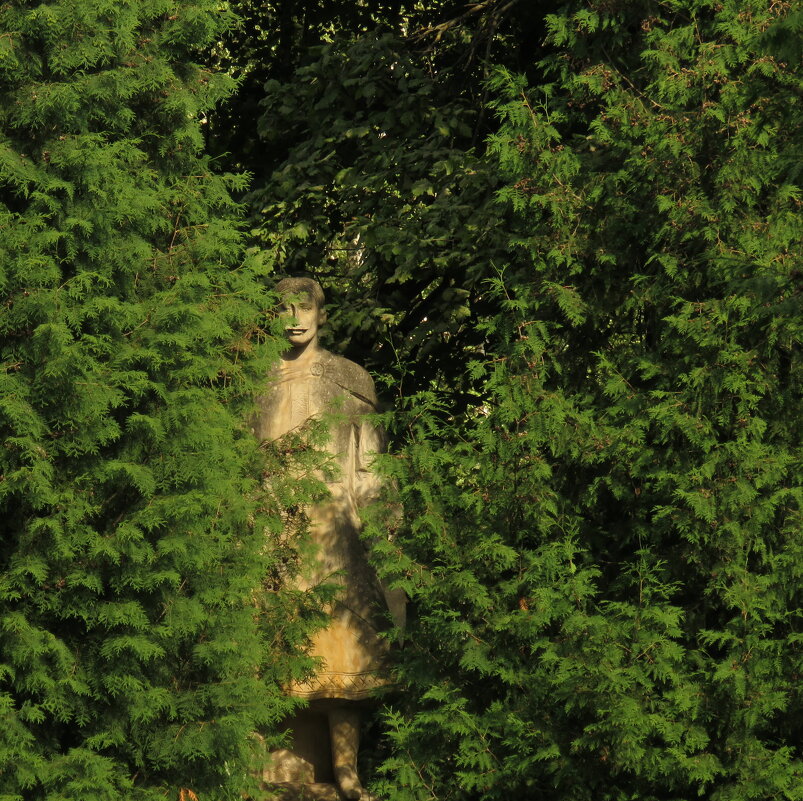 стой, кто идет :) - ИРЭН@ . стой, кто идет :) - ИРЭН@ .