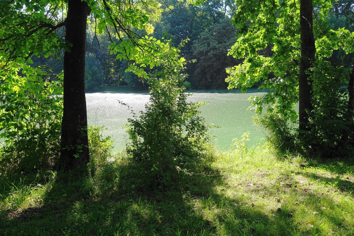 Сентябрь - Рита Симонова