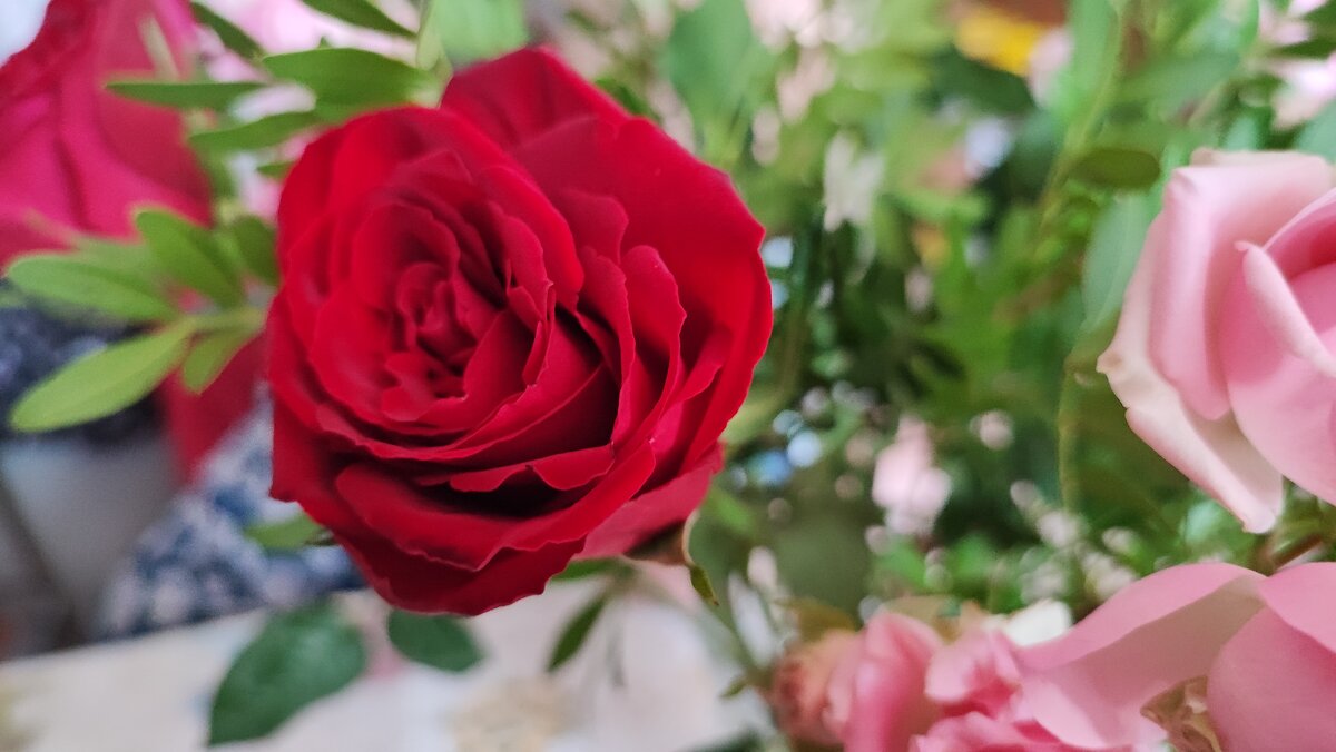 ,,, - Сергей Тимоновский