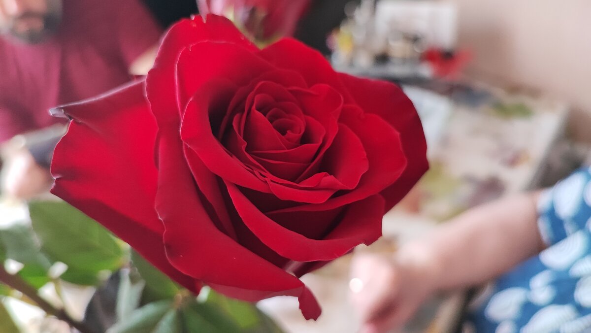 ,,, - Сергей Тимоновский