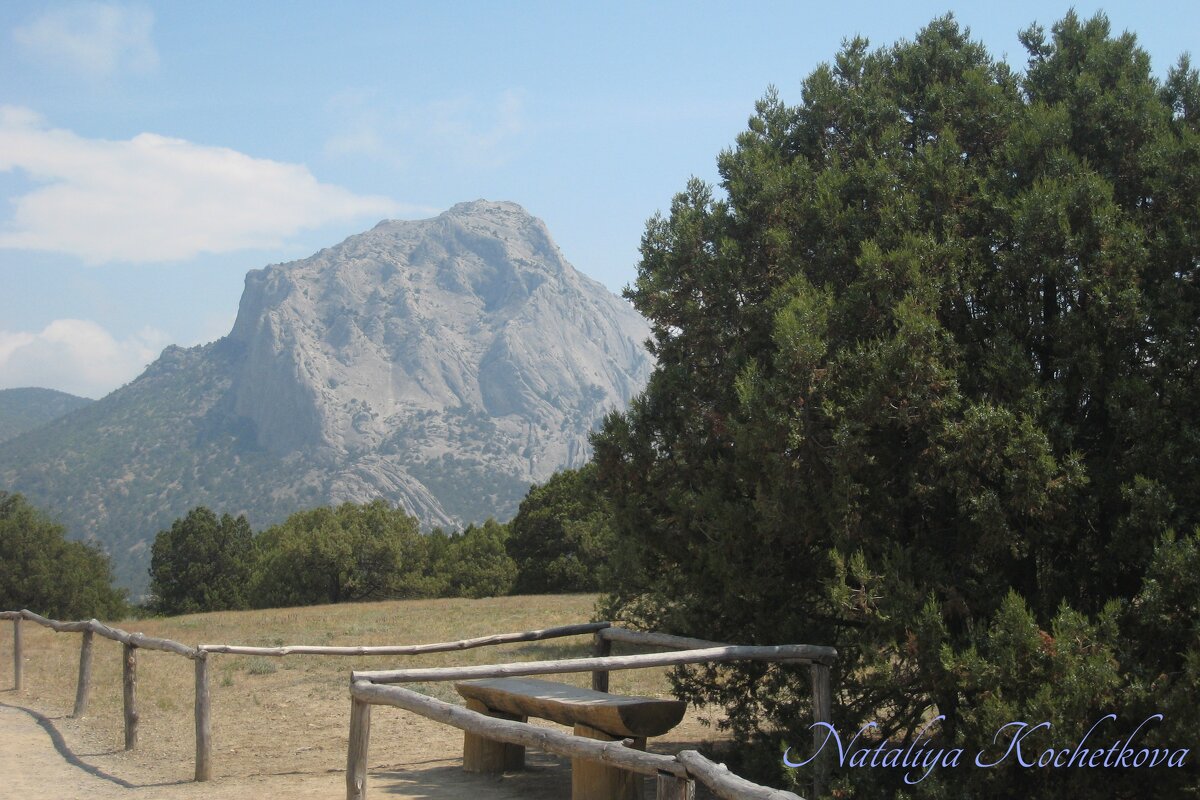 Природа Крыма - Amazing Cosmea