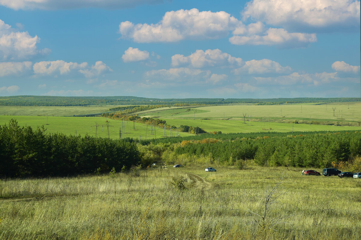 поле. - Анатолий Уткин