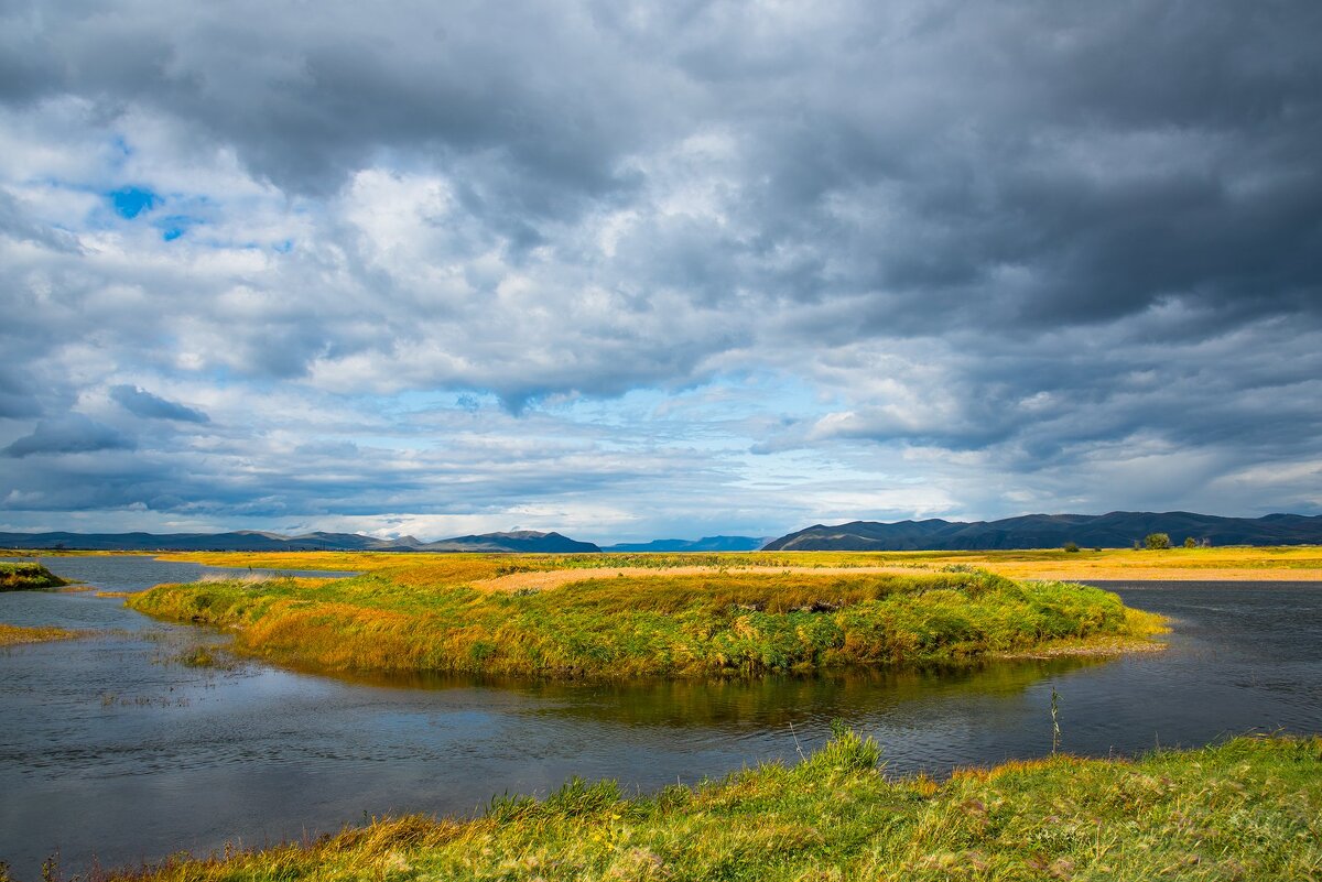 Просто сердце замирает. - юрий Амосов