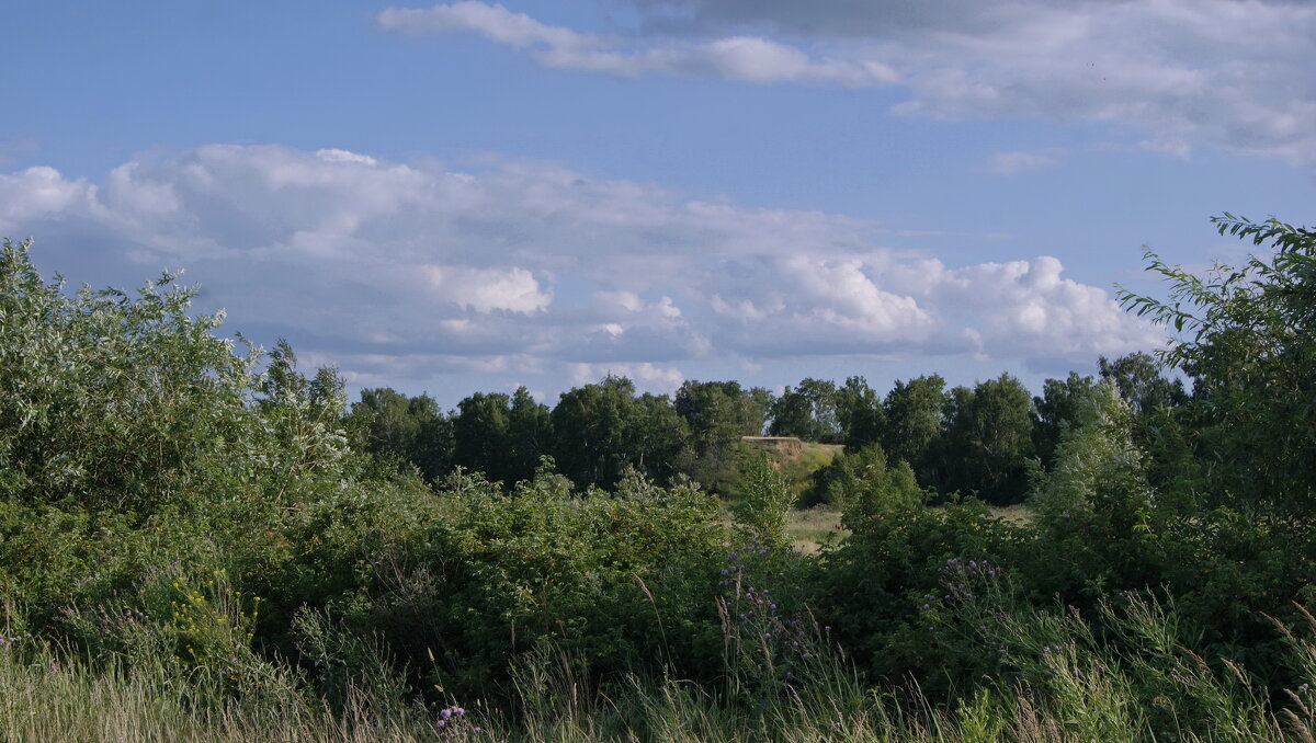 Июль. - сергей ермошкин