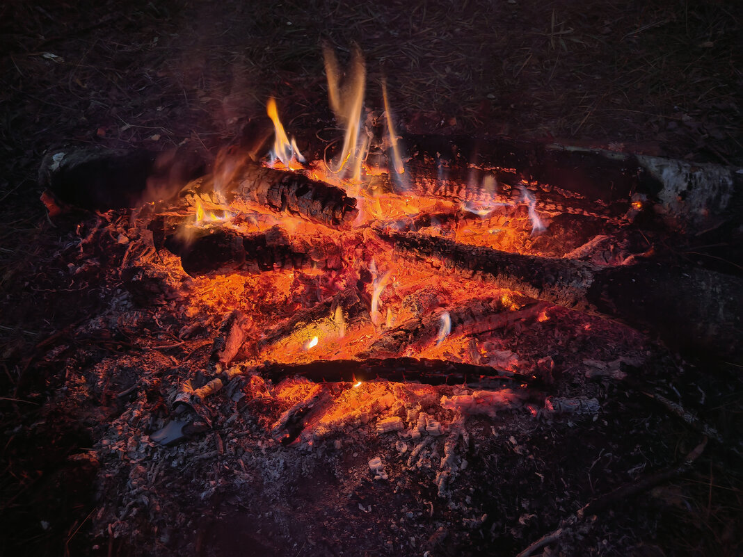 *** - Денис Бочкарёв *** - Денис Бочкарёв