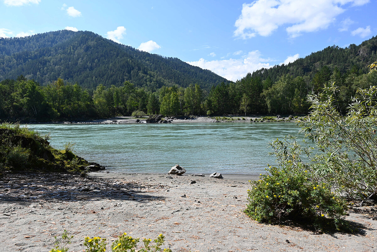 Устье Бертки - Валерий Медведев