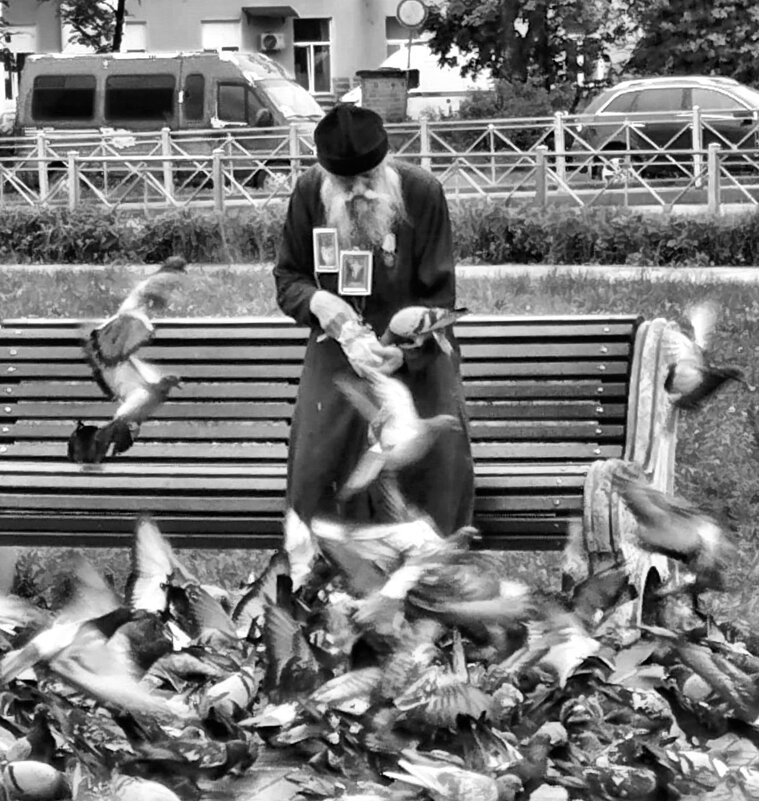 ... - Владимир 