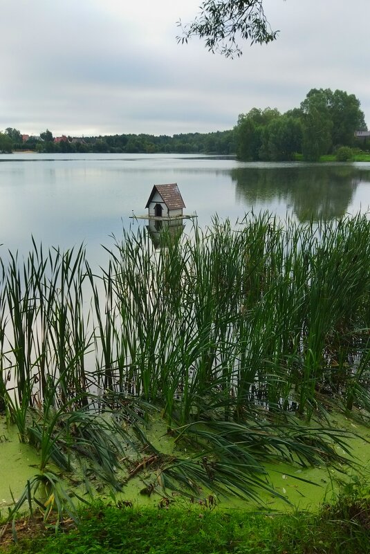 Утиный домик - Марина Виноградова
