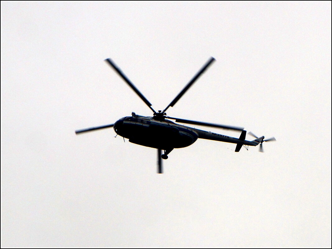 стрекозёл над Невой - zavitok *