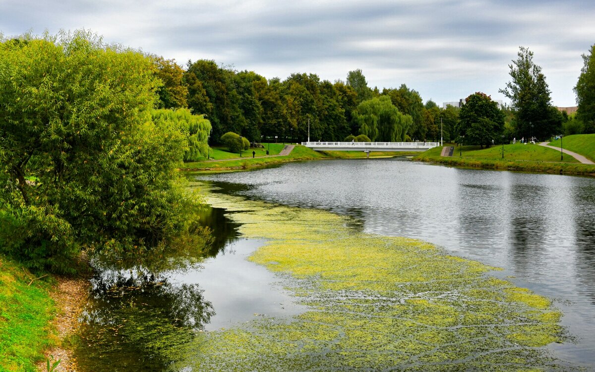 Заростает ряской пруд. - Милешкин Владимир Алексеевич Заростает ряской пруд. - Милешкин Владимир Алексеевич